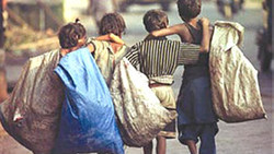نتیجه ظالمانه رها کردن زباله در طبیعت + فیلم