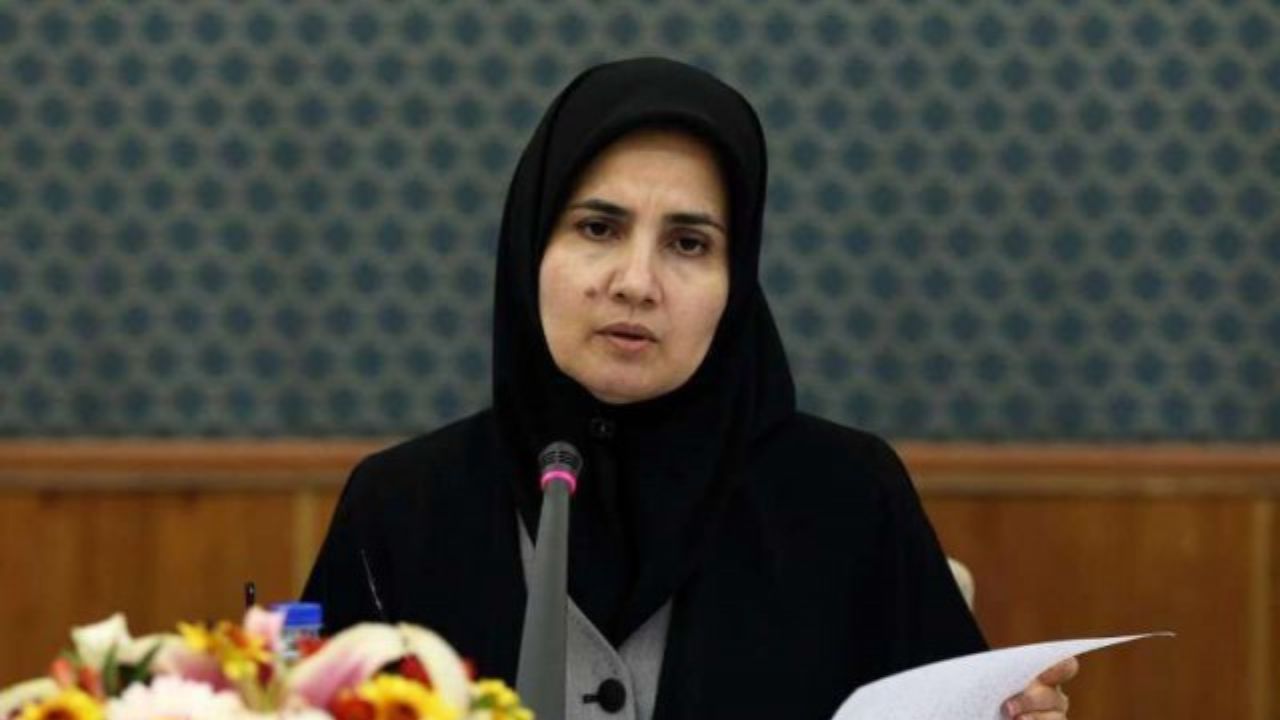 وزارت علوم صاحب زمین‌ها و املاک بسیاری به واسطه دانشگاه‌هاست