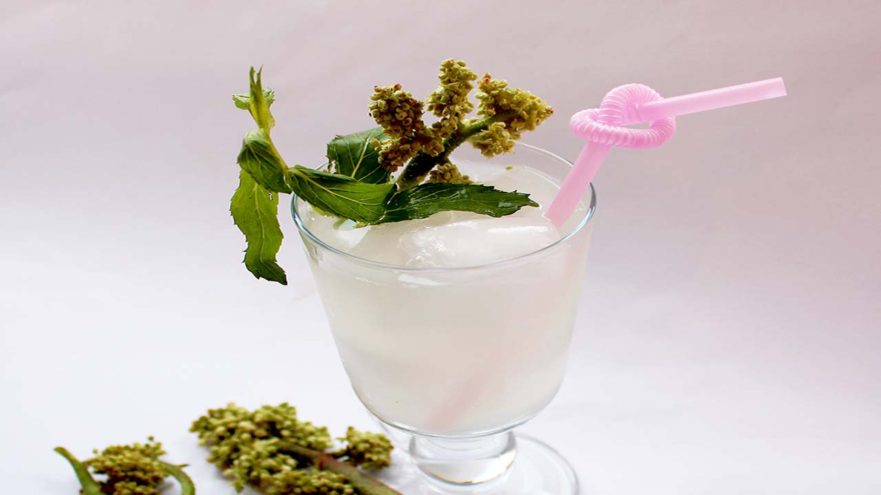 شربت ریواس