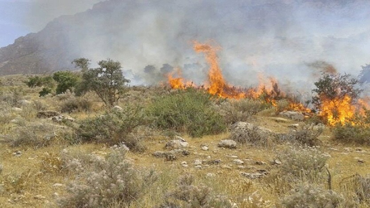 ۸ مورد حریق در  شهرستان شاهرود به وقوع پیوست