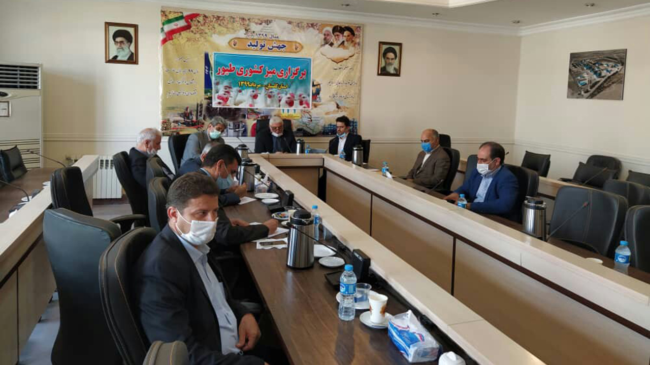 ۱۰ درصد مرغ کشور در گلستان تولید می‌شود