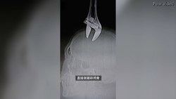 سقوط وحشتناک یک مرد ۵۳ ساله با هواپیمای شخصی‌اش + فیلم
