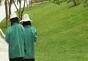 تبدیل یک باغ در خیابان کلهری قم به بوستان بانوان در آینده نزدیک
