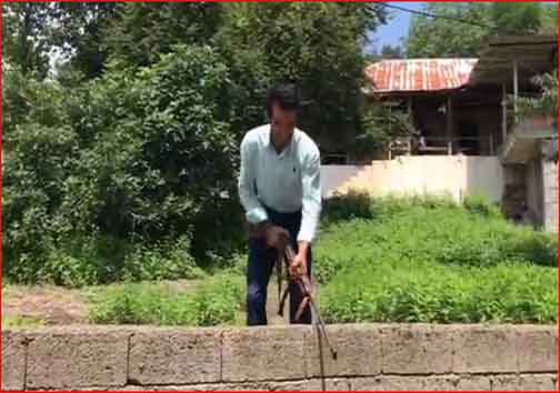 آنچه در استان ها گذشت؛