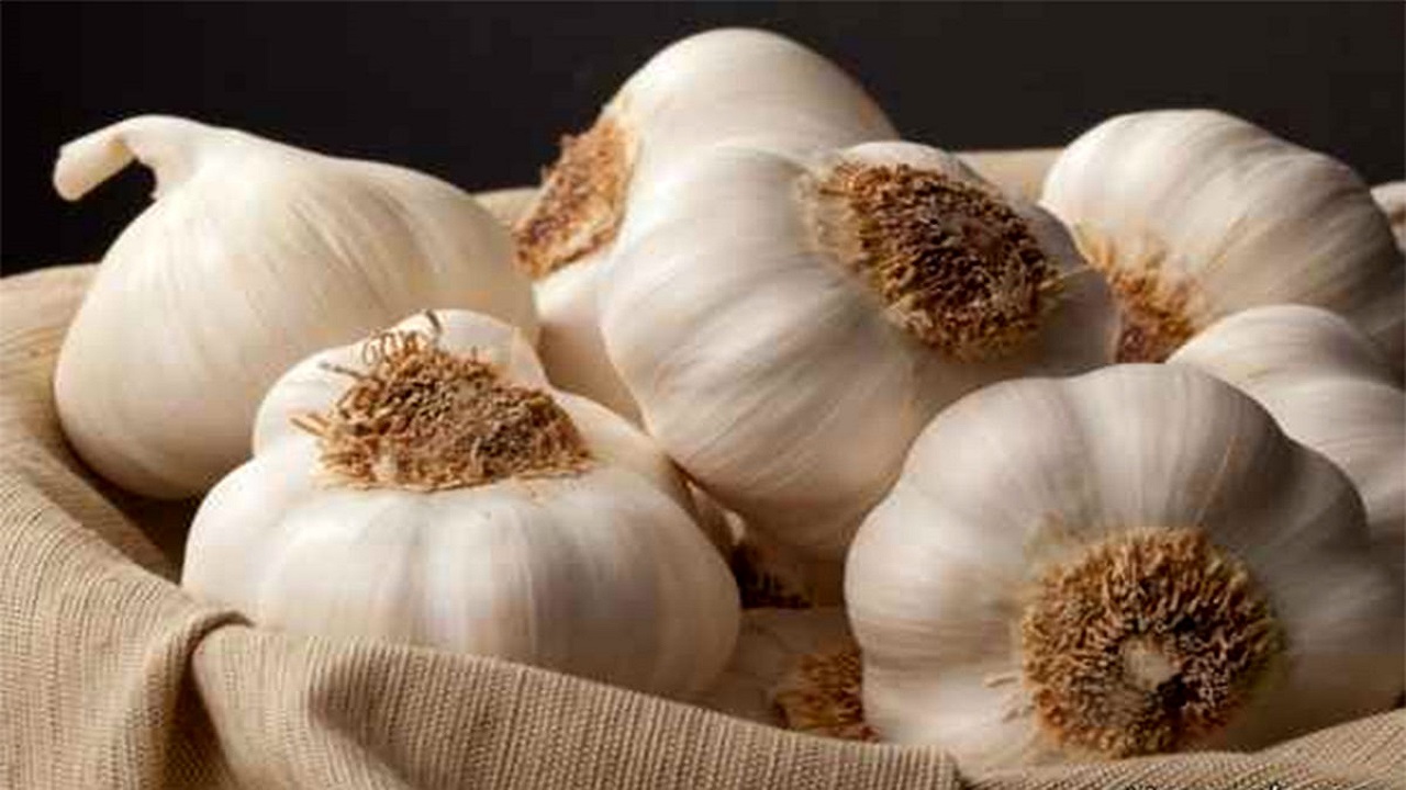 خوردن سیر خام مفیدتر است یا سیر پخته؟