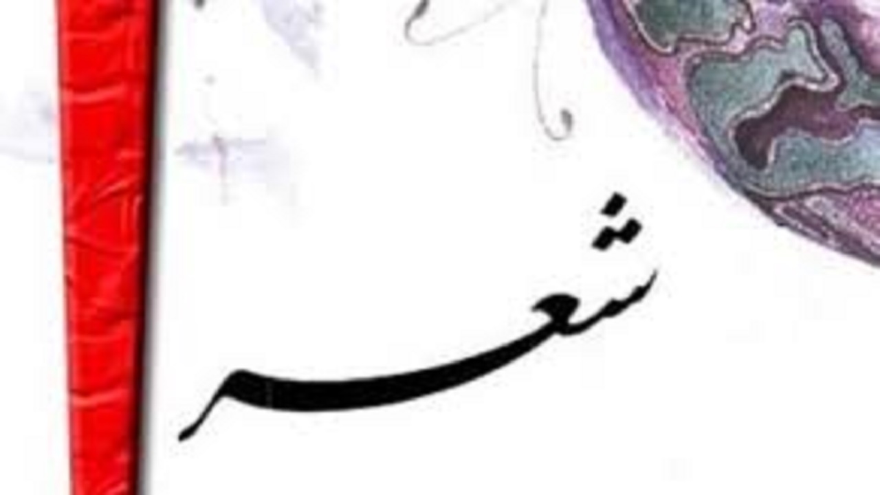 برگزاری نشست قصه گویی و شعر خوانی کودکان