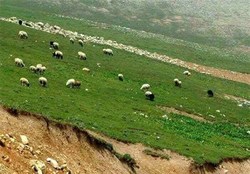 مراتع زنجان