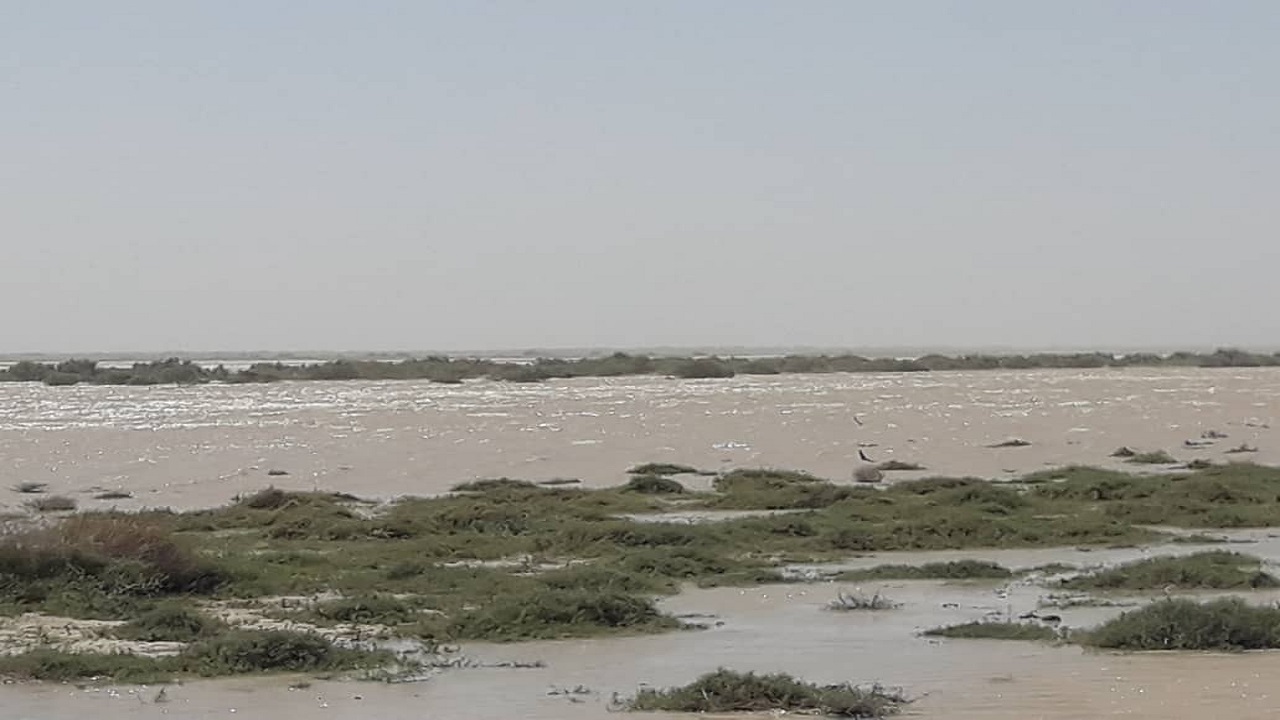 تالاب هامون