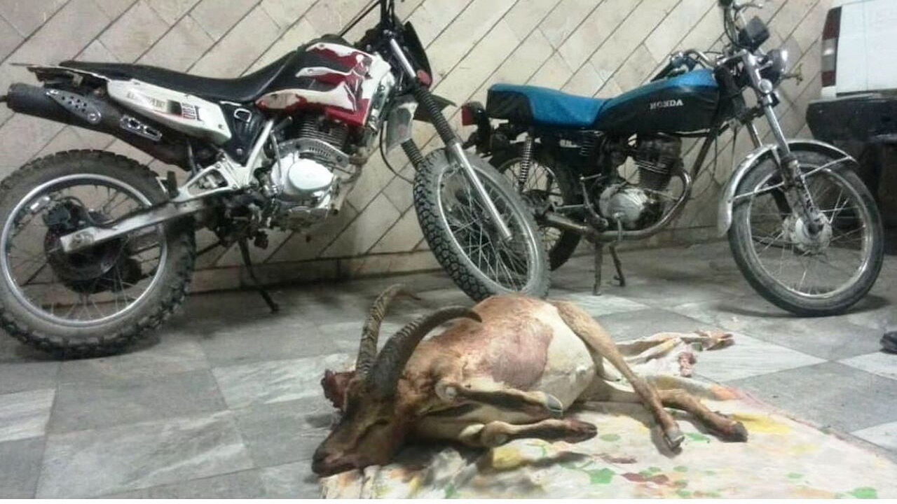 دستگیری شکارچیان غیرمجاز در منطقه حفاظت شده قمصر کاشان