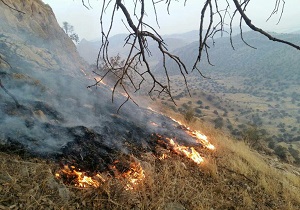 وقوع آتش سوزی در کوه دلا اندیکا