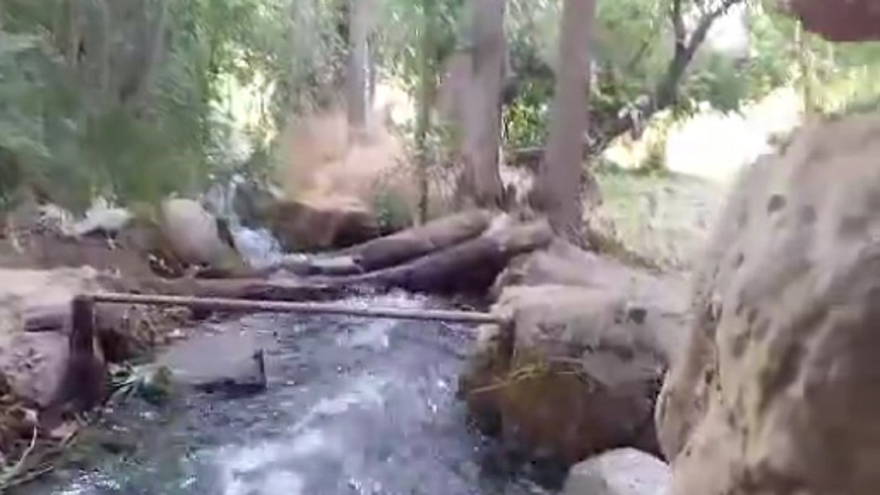طبیعت زیبای روستای هنجن + فیلم