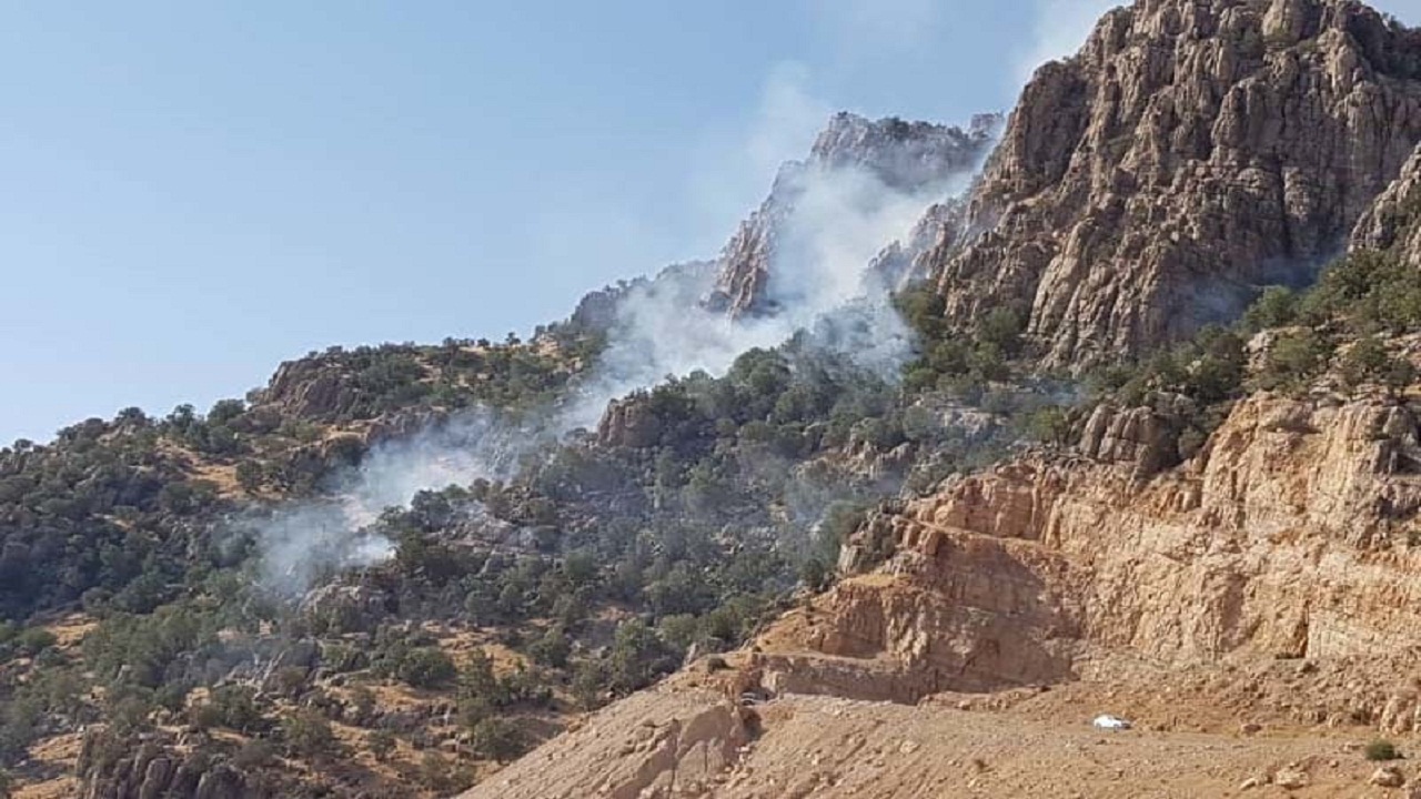 آتش از کوه دلا دست بردار نیست