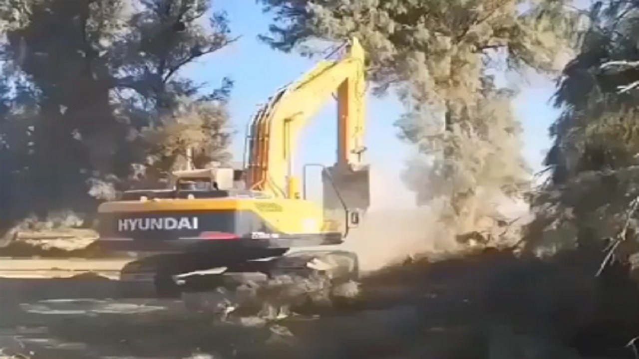 قلع و قمع درختان با لودر! + فیلم
