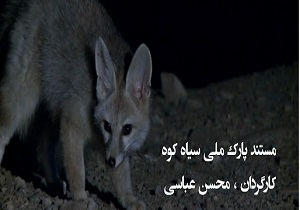 «پارک ملی سیاهکوه» خوش درخشید