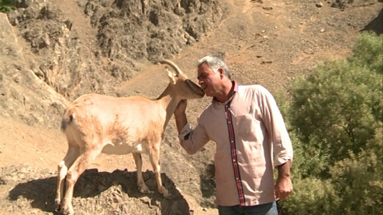 محیط بان افتخاری