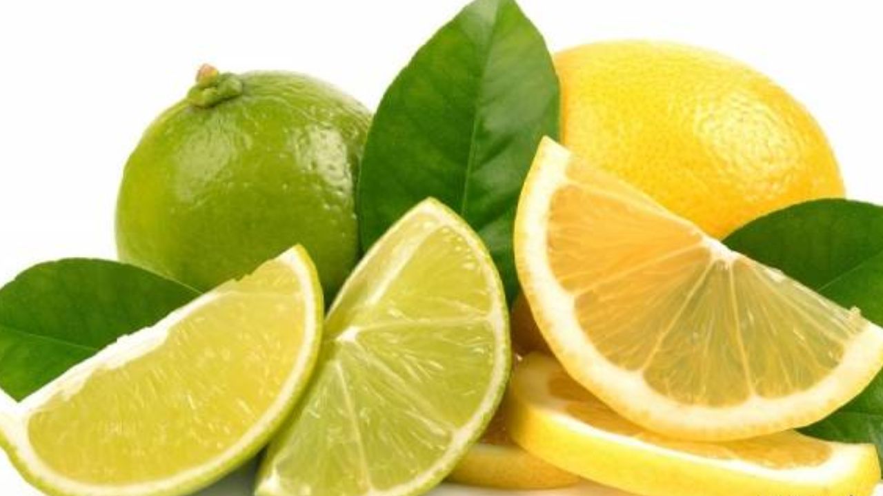 قاتلان چربی سوز/علی بیگی