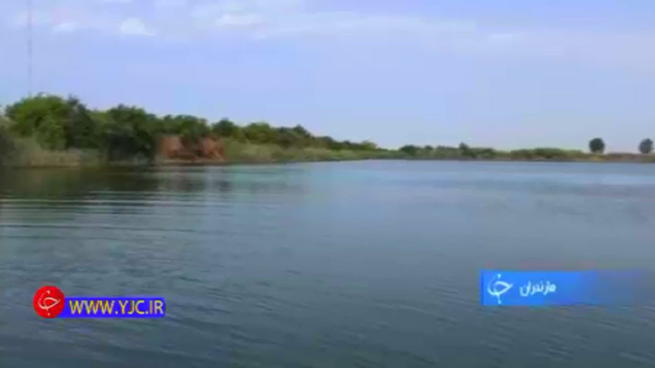 از هدیه&zwnj;ای درخشان بر دستان سردار دل&zwnj;ها تا سرآغاز ادبیات مقاومتی در دوران هشت سال دفاع مقدس+فیلم