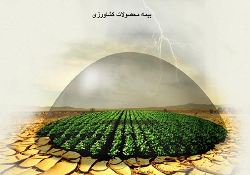 دوره آموزشی بیمه محصولات کشاورزی در مهاباد برگزار شد