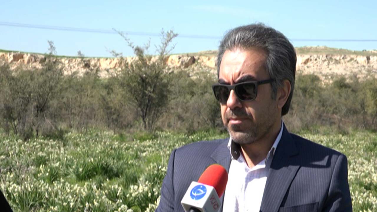 کوره‌های تولید زغال در کازرون رصد می شوند