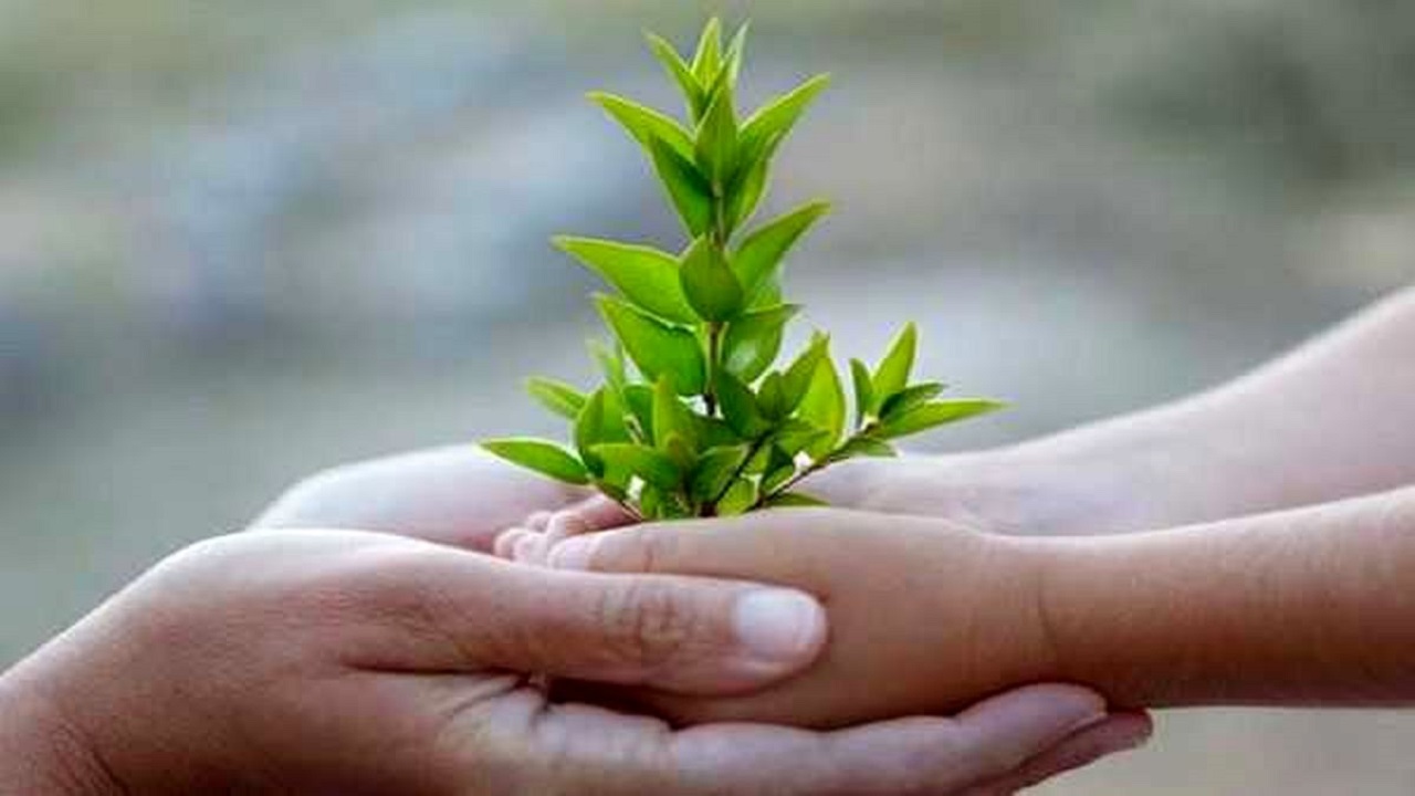 تاب آوری؛ دوستِ خوبِ روز‌های کرونایی