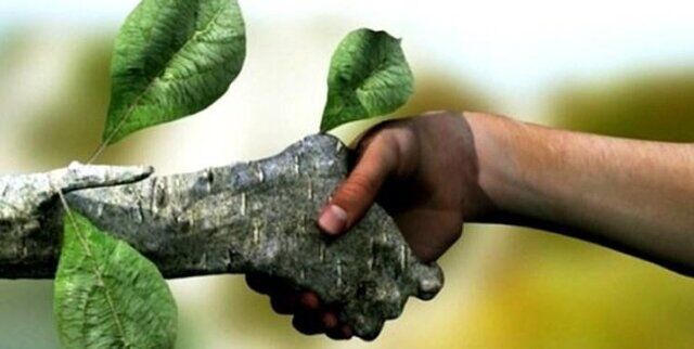 همکاری ۵ هزار و ۹۰۰ همیار طبیعت فعال در فارس
