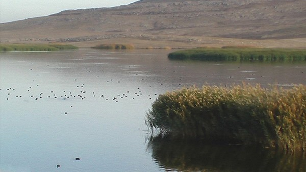 آخرین وضعیت تالاب‌های کشور/ زاینده رود، رودخانه دائمی که در فصل تابستان خشک می‌شود