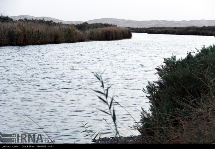 تالاب کویری گاوخونی؛ پناهگاه فلامینگو&zwnj;های مهاجر