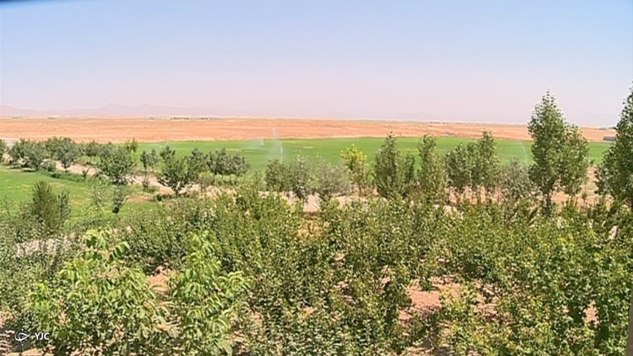 باغ بهشت در دل بیابان خمین