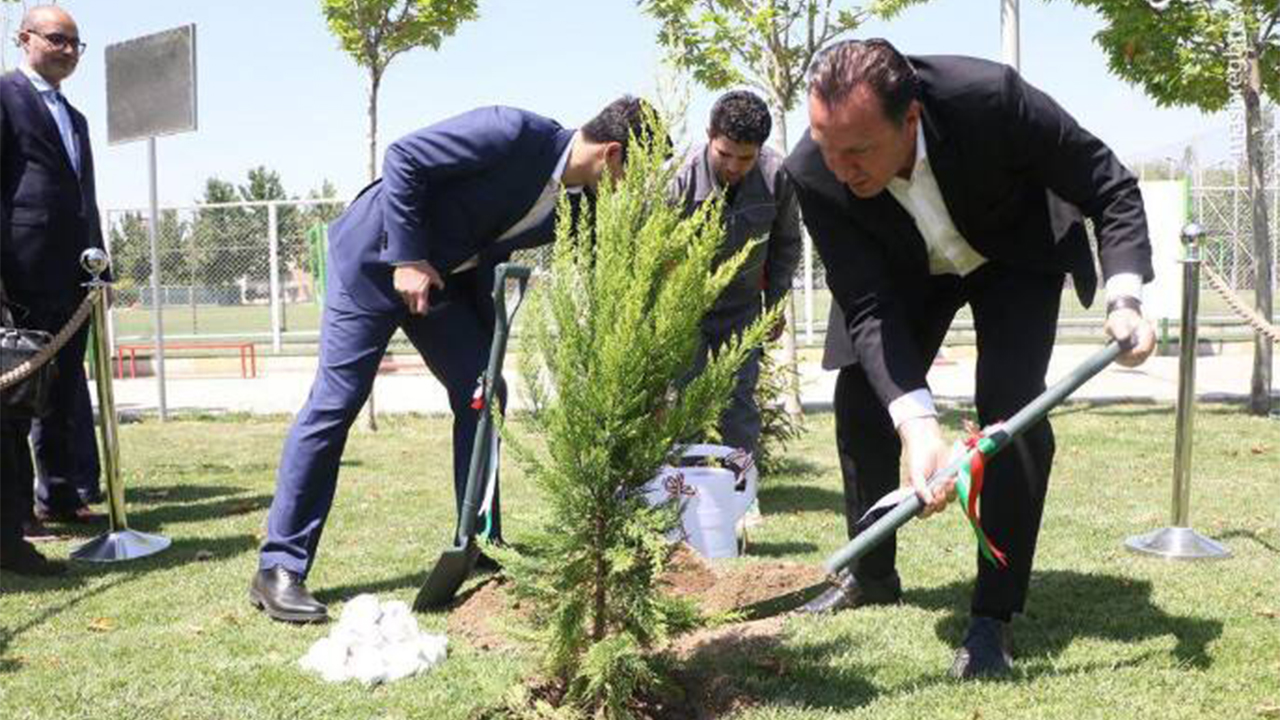 فروش درختی که ۱۶۶ میلیارد تومان پای ایران آب خورد!