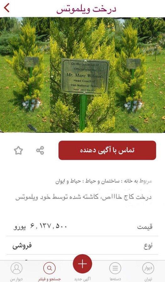 فروش درختی که ۶ میلیون یورو پای ایران آب خورد!