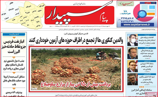 پیام سپیدار