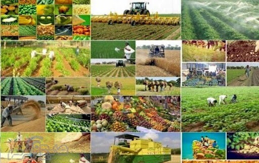 کرمانشاه برای جبران فرصت های از دست رفته باید قطب کشاورزی شود