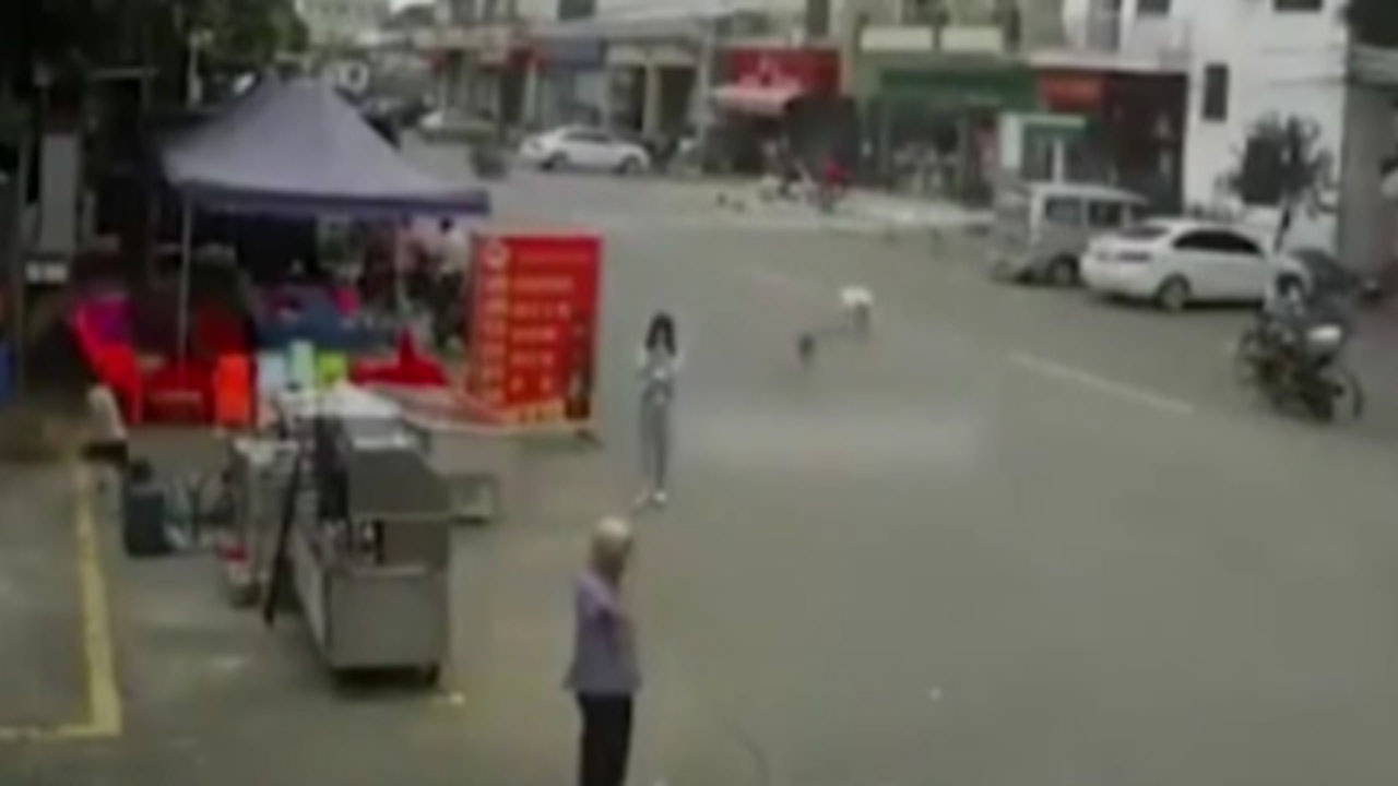 کشته شدن یک پیرمرد به دست سگ + فیلم