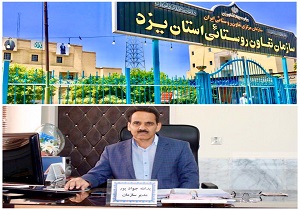 خرید تضمینی گندم از کشاورزان سه شهرستان در یزد