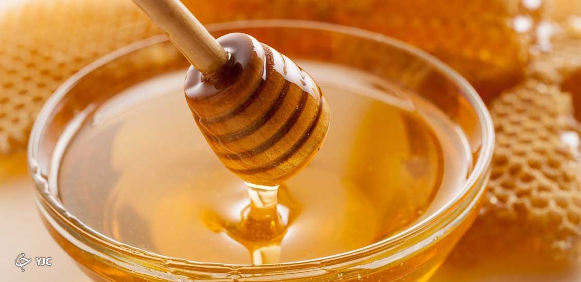 غذای شفابخش قرآنی/اکسیر حیاتی به نام عسل