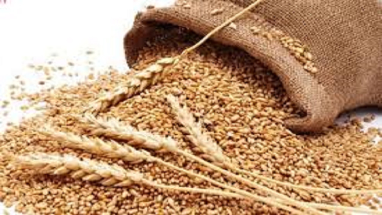 پرداخت هفت میلیارد ریال زکات در تایباد