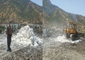 معدوم سازی ۶ هزار کیلوگرم مکمل خوراک طیور فاسد در مریوان