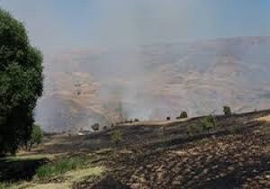 ۱۰ هکتار از مراتع خورش‌رستم خلخال طعمه حریق شد