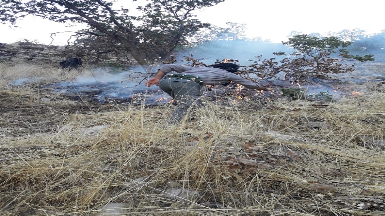 آتش سوزی در کوه دلا تحت کنترل است