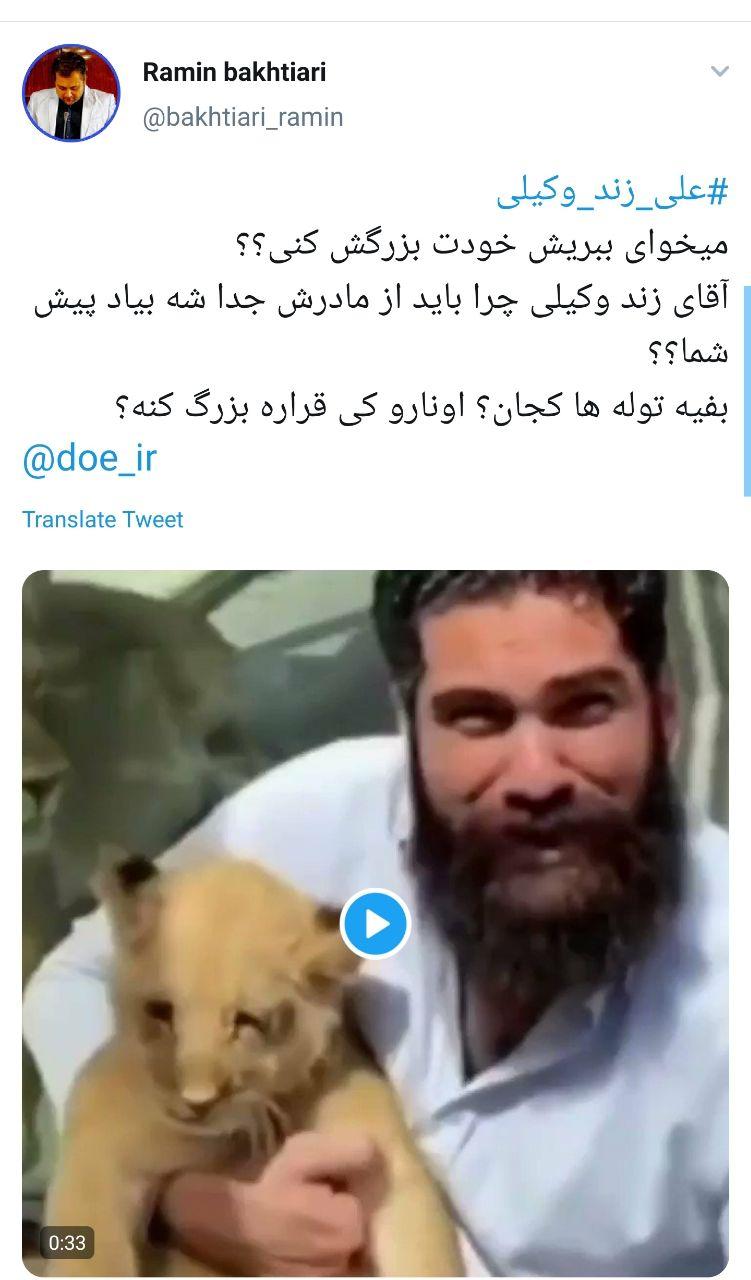 توله شیری که میان علی زندوکیلی و هوادارانش آشوب به پا کرد