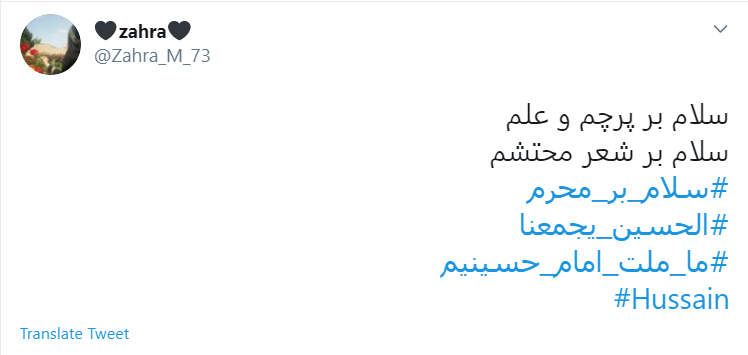 امسال عجب محرمی است؛ بی کربلا، بی اربعین، بی سردار!