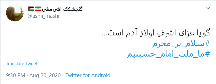 امسال عجب محرمی است؛ بی کربلا، بی اربعین، بی سردار!