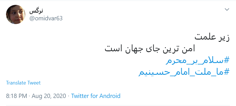 امسال عجب محرمی است؛ بی کربلا، بی اربعین، بی سردار!