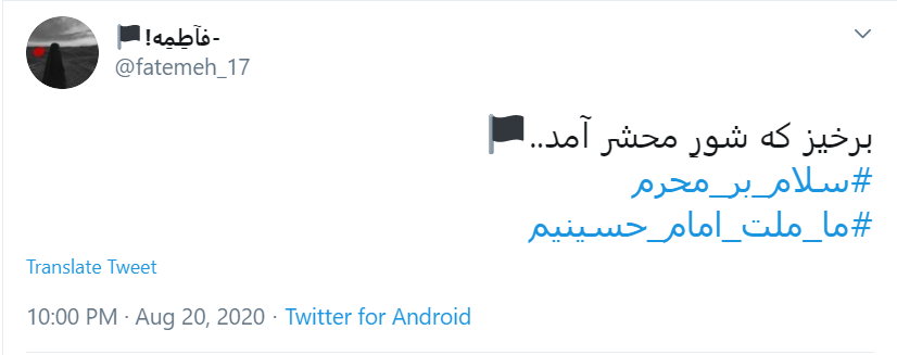 امسال عجب محرمی است؛ بی کربلا، بی اربعین، بی سردار!