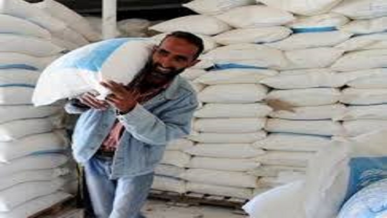 کشف ۴۷ تن آرد قاچاق در نیمروز