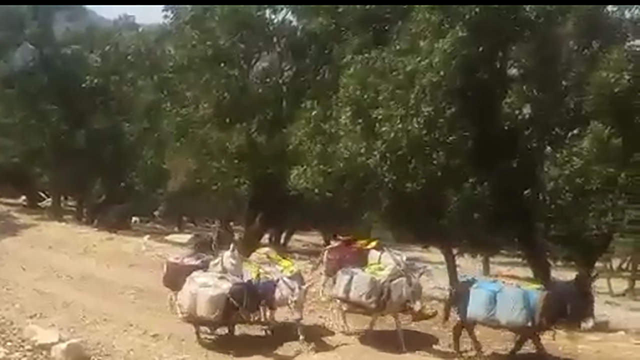 بحران بی‌آبی در روستای تل سیاه بیدانجیر + فیلم