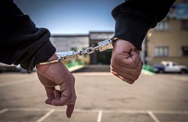 دستگیری ۹ سارق و خرده فروش مواد مخدر در نهاوند