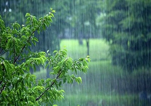 بارش ۴۹ میلیمتری باران تابستانی در امامزاده جعفر گچساران