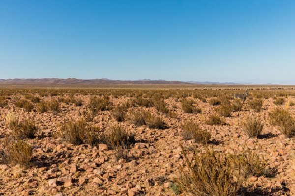 اختصاص ۱۰۷ میلیارد تومان اعتبار برای بیابان زدایی در کرمان