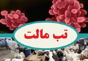 جلوگیری از ابتلا به تب مالت با پرهیز از مصرف لبنیات آلوده